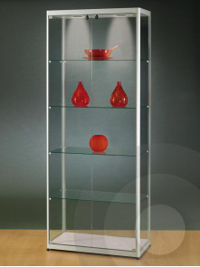 800mm tower cabinet with ceiling lights and two doors to front