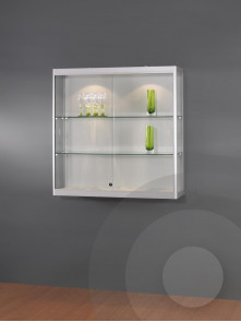 Wall mounted cabinet with ceiling lights