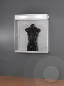 Wall mounted illuminated header cabinet
