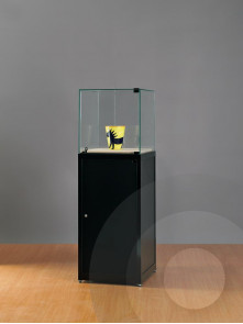 Museum Display Case