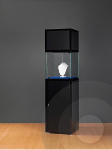 Museum Display Case With Header
