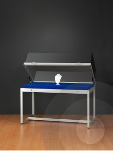 Museum Display Case With Lift Up Top
