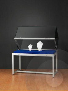 Museum Display Case With High Lift Up Top