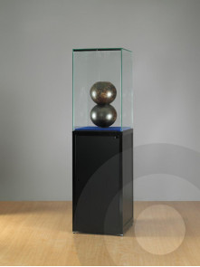 Tall Museum Display Case