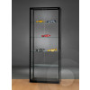 Black Display Cabinet with 2 Doors at Front - 800 mm