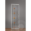Corner display cabinet with ceiling and LED shelf lights