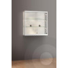 Wall Mounted Display Cabinet  with Glass Top