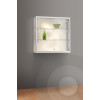 Wall Mounted Display Cabinet  with Glass Top