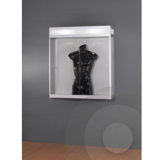 Wall Mounted Display Cabinet with Illuminated Header