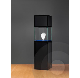 Museum Display Case With Header