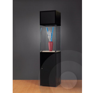 Museum Display Case With Header - Tall