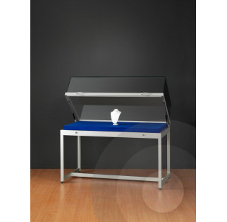 Museum Display Case With Lift Up Top