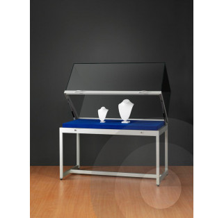 Museum Display Case With High Lift Up Top