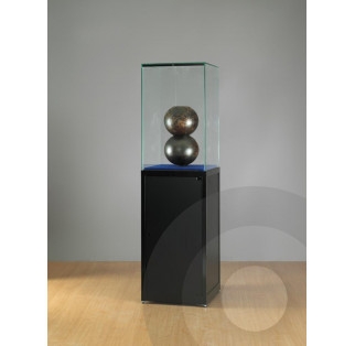 Tall Museum Display Case