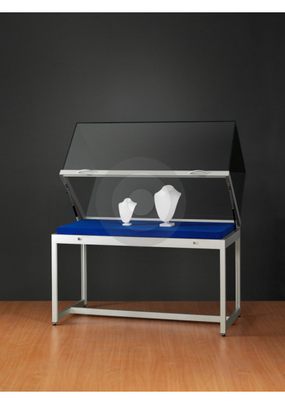 museum display cabinet