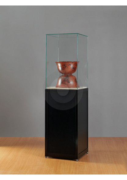 museum display cases