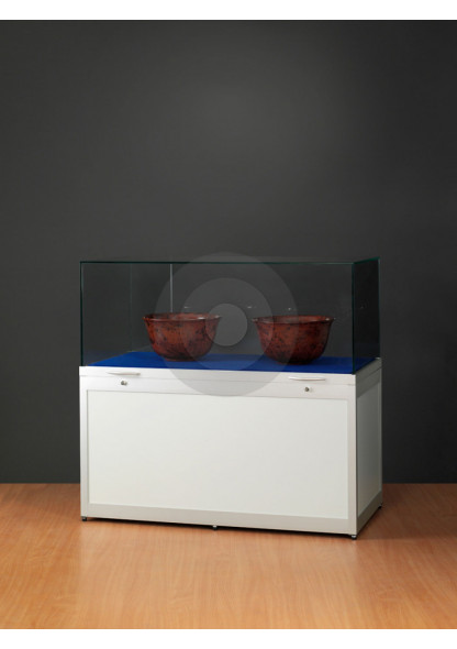 display cabinet for museums